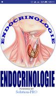 Endocrinologie постер