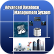 Database Management System