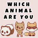Which animal are you? Quiz aplikacja