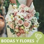 Floristería Madrid AdhocFlores ikon