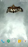 Eagle Live Wallpaper 截图 3