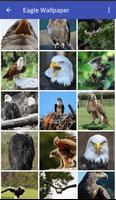 برنامه‌نما eagle wallpaper عکس از صفحه