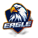EAGLE VPN - Fast And Stable APK