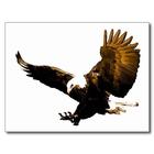 Eagle HD Wallpaper ikon