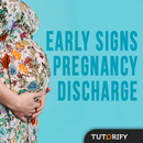 Early Signs of Pregnancy Discharge APK