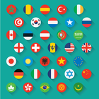 Country Flags icon
