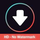 TikLoader - Download no waterm APK