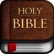 ”Easy to read understand Bible
