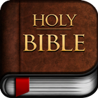 Easy to read understand Bible icon