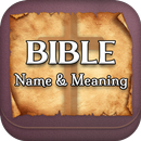 Bible Names with Meaning aplikacja