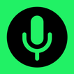 Background Voice Recorder