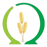 Harvest School icon