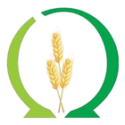 Harvest School icon