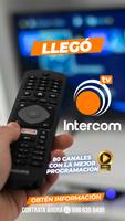 IntercomTV captura de pantalla 2