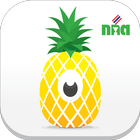 Pineapple Eyes icon