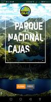 Parque Nacional Cajas Poster