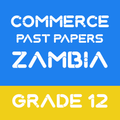 Grade 12 Commerce Past Papers
