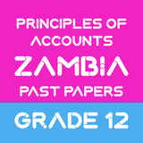 Principle of Accounts Grade 12 APK
