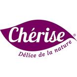 CHERISE INDIA PVT LIMITED