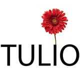 Tulio 圖標
