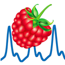 PPG Berry aplikacja