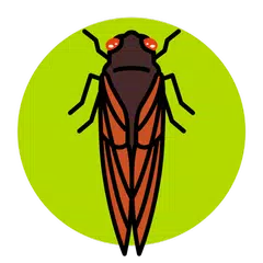 Cicada Safari APK download