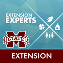 APK MSU-E Experts List