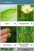 Aquatic Plants स्क्रीनशॉट 1