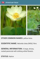 Aquatic Plants syot layar 2