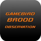 Gamebird Brood Observation icon
