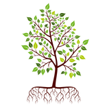 Mindfulness Meditation - PH