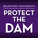 Protect the Dam APK