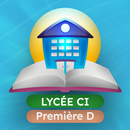 APK Première D : Cours & Révisions