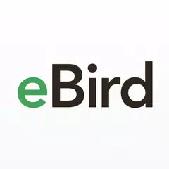 eBird by Cornell Lab XAPK download