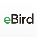 eBird by Cornell Lab APK