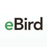 eBird by Cornell Lab