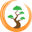 Bonsai Care
