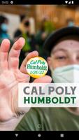 myHumboldt! plakat