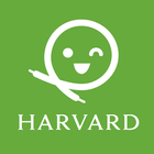 Harvard Shoestring Strategies icône