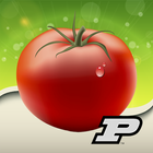 Purdue Tomato Doctor icône