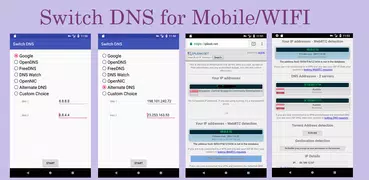 Switch DNS (WiFi / Bluetooth /
