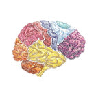 NeuroRes ไอคอน