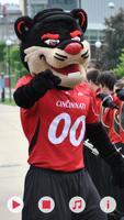 Bearcat Spirit Cartaz