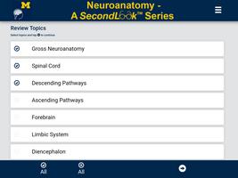Neuroanatomy - SecondLook Affiche