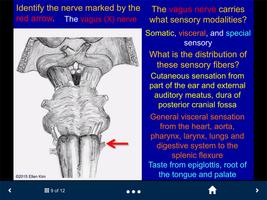 Neuroanatomy Lite - SecondLook ภาพหน้าจอ 3