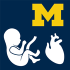 Fetal Heart Rate - SecondLook icono