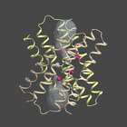 MacromoleculAR biểu tượng