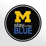 Stay in the Blue simgesi