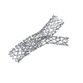 UMN Stents