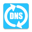 Big DNS Changer